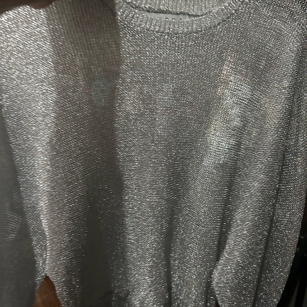 Brand new silver dressy blouse beautiful brand new never been worn no tags